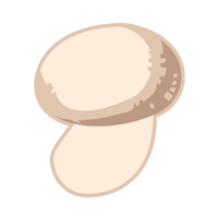 Mushroom-S KHIII.png