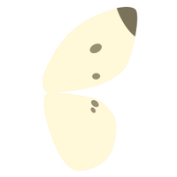 Butterfly-S KHIII.png