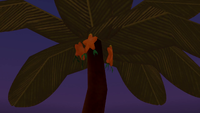 Following the Light 03 KHBBS.png