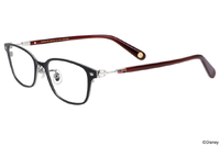 Glasses Sora Zoff.png