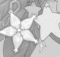 Paopu and Wayfinder KHIII Manga.png