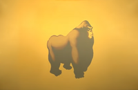 Projected Slide 04.png