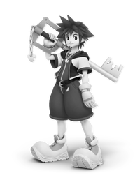 Sora (TR) SSBU.png
