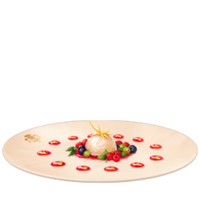 Berries au Fromage KHIII.png