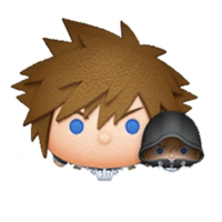 Sora & Roxas DTT.png