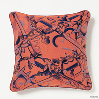 Cushion Cover Sora UUL.png