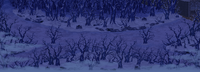 Frozen Forest 01 KHX.png