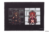 Cleaning Cloth 01 Zoff.png