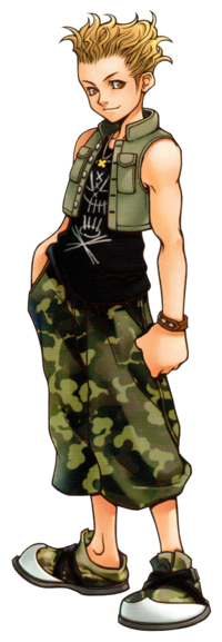 Hayner (Art).png