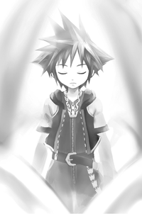 Sora KHCOM Novel.png