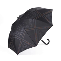 Umbrella (Terra) 04 SuperGroupies.png