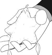 Paopu Fruit KHII Manga.png